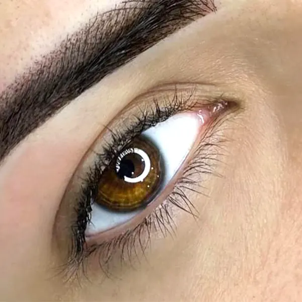 img-microblading-puerto-rico-Servicios-Ojos